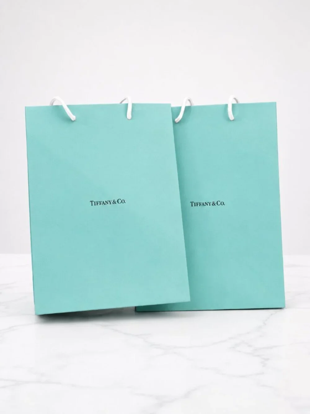Set of 2 Authentic Tiffany & Co. Shopping Gift Bags